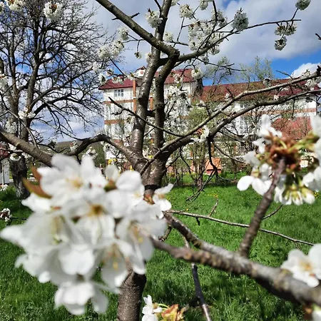 сади єви Lyubintsy